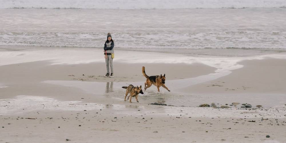 Woman walking her dogs along a sandy beach by the sea
