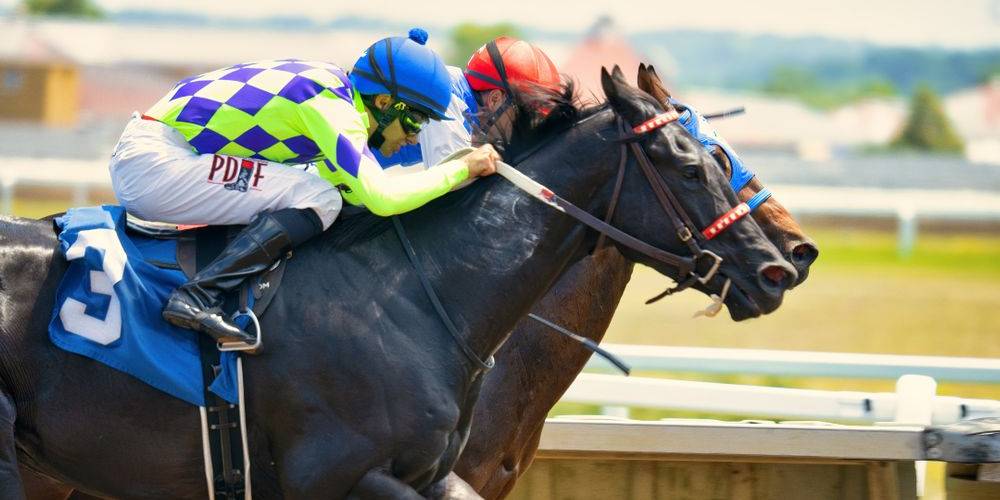 Racehorses competing at Chester Racecourse during a close finish