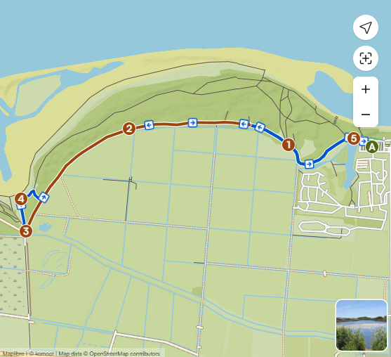 Pine Forest Path Map