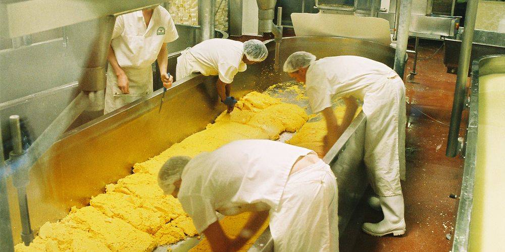 People working in Wensleydale Creamery