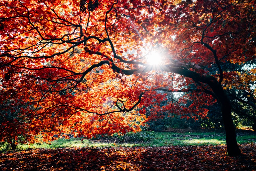 autumn in the yorkshire dales