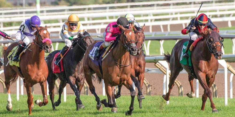 Racehorses competing during a thrilling race at York Racecourse
