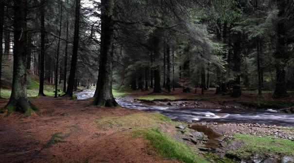 Peak District