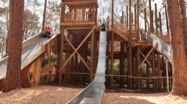 BeWilderwood