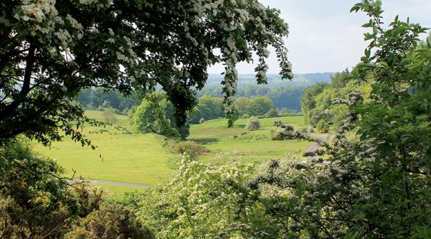 View from Premium lodge