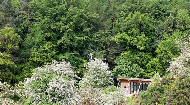Lodge nestled into the hillside