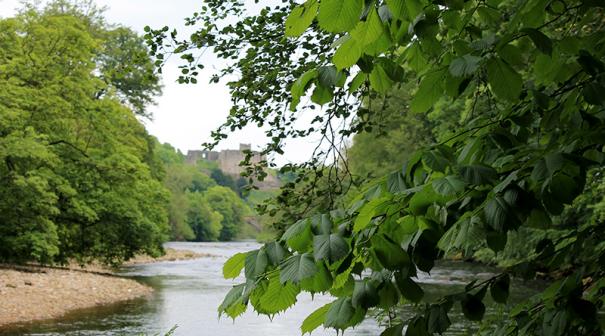 The River Swale walk ends with spectacular views to Richmond Castle