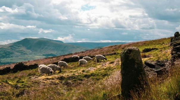 Peak District
