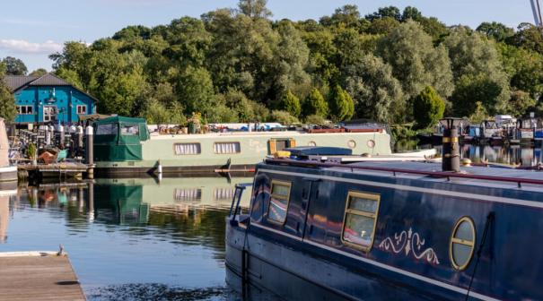 Roydon Marina