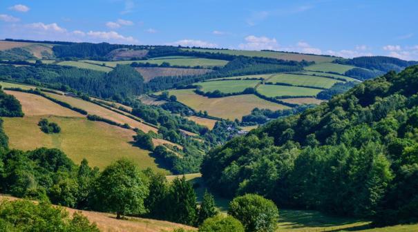 Somerset