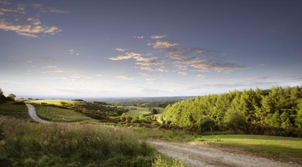 Yorkshire Dales
