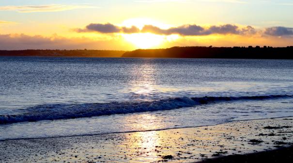 Devon Coastline