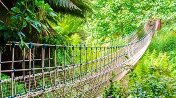 Lost Garadens of Heligan