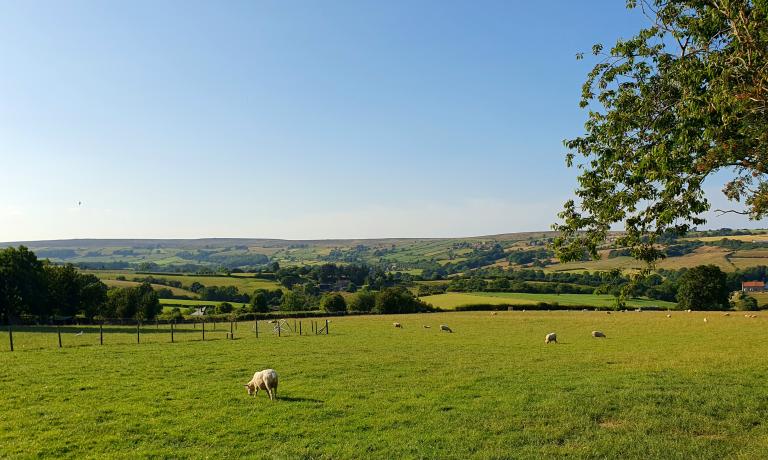 Glaisdale