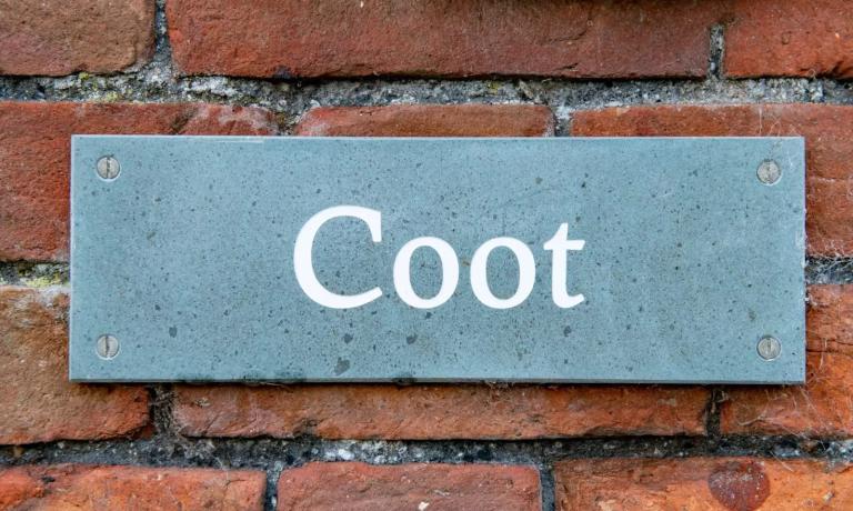 Coot