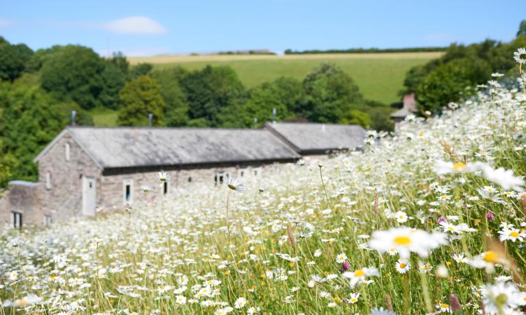 Burrator Cottage