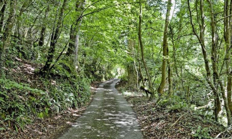 Driveway to Tawnamoor
