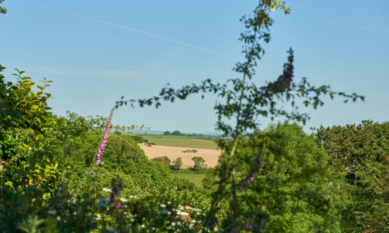 Gitcombe Estate