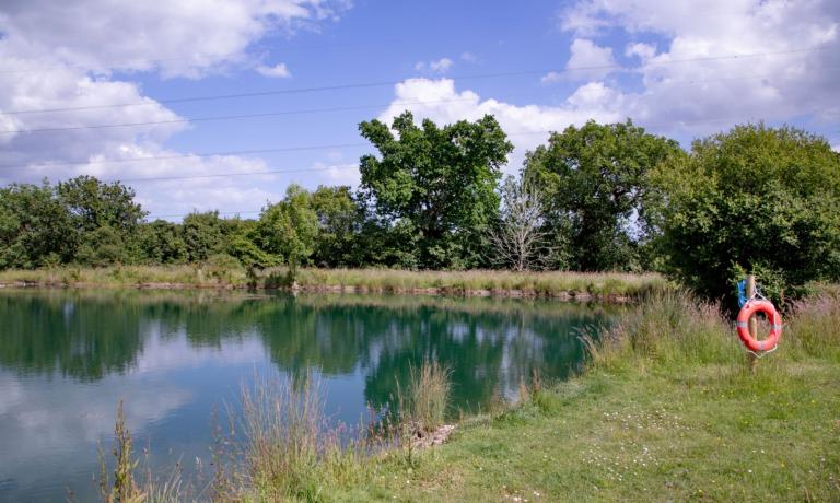 Lake Views