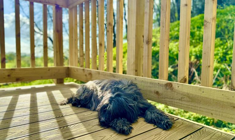 Private Deck