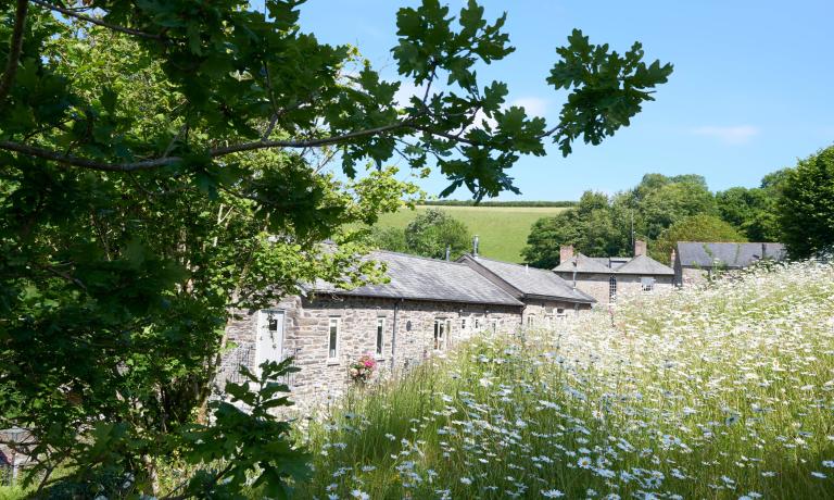 Gitcombe Estate