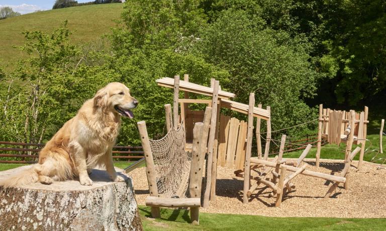 Outdoor Play Area