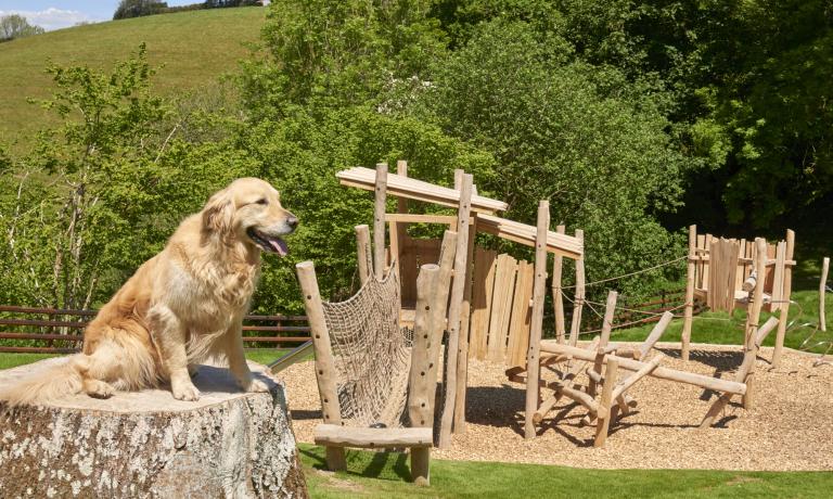 Outdoor Play Area