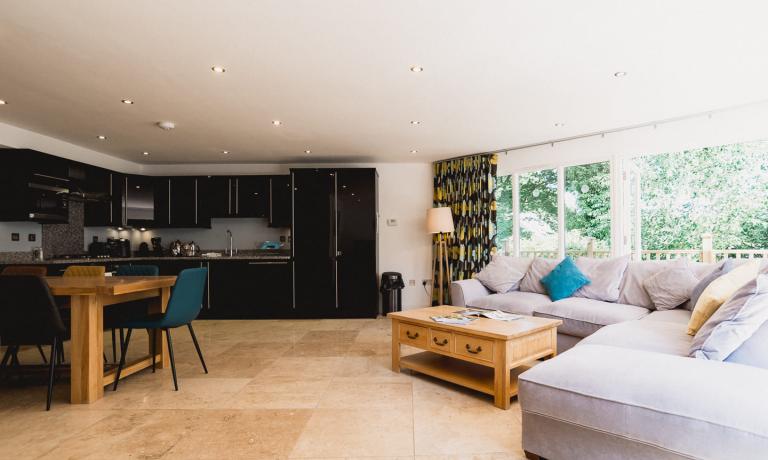 Living Area & Kitchen