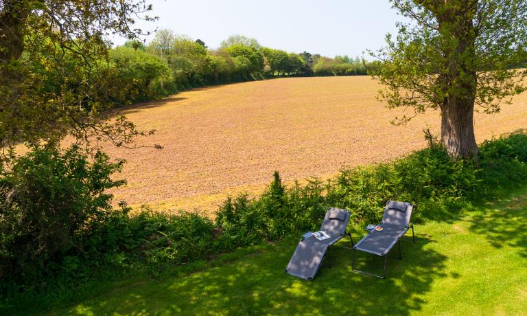 Fields adjoining rear garden