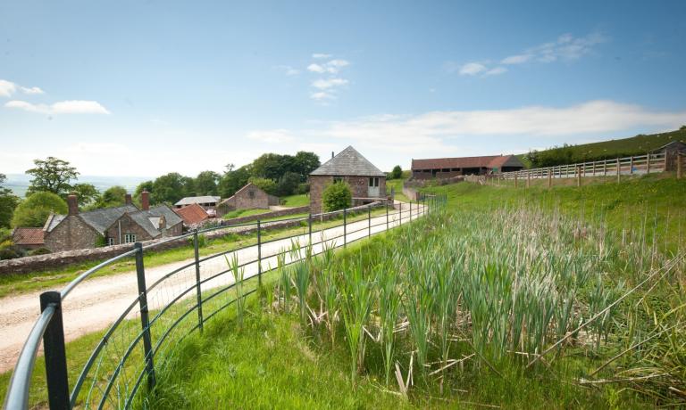 Grounds at Tilbury Farm